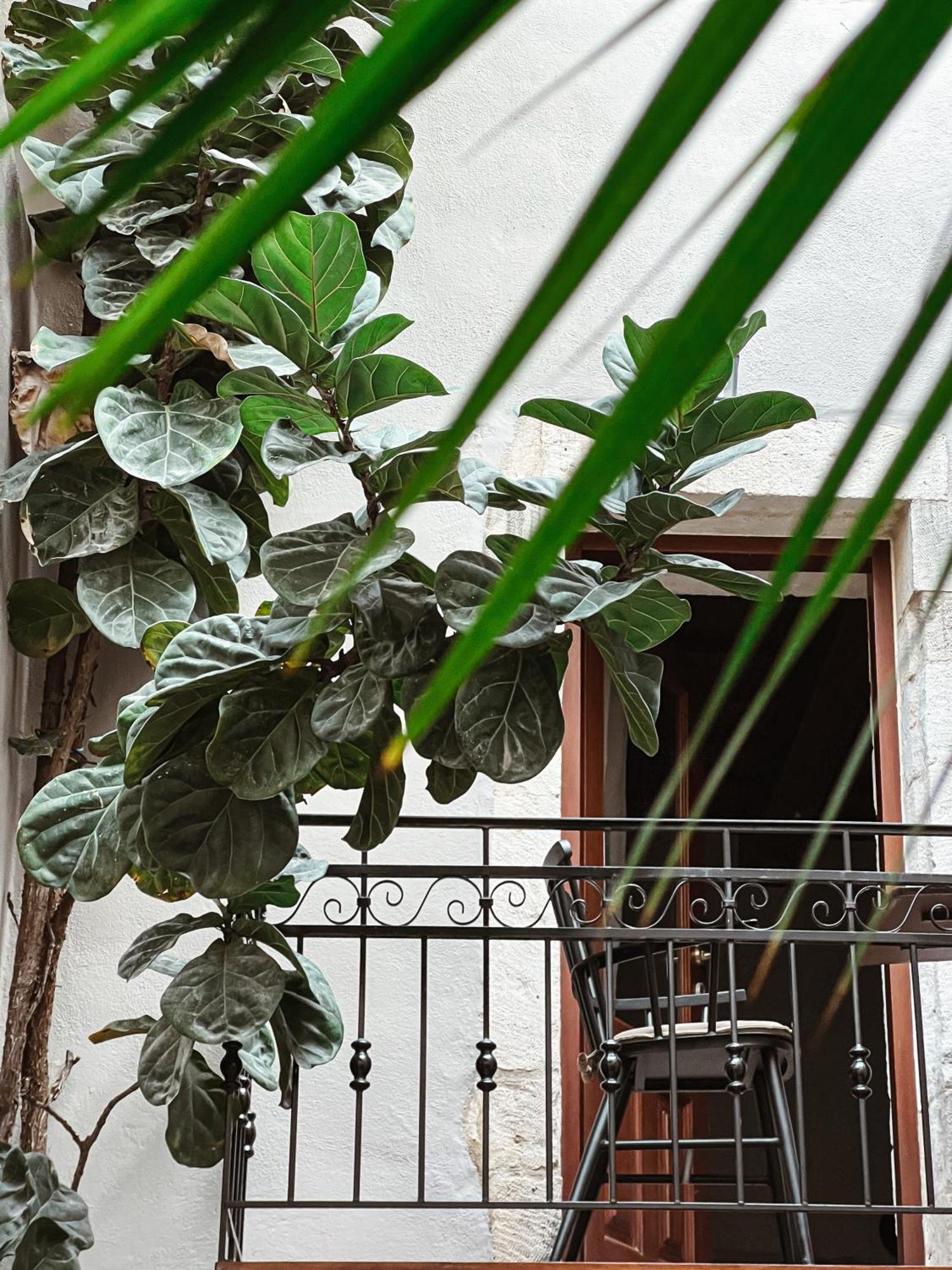 Casa Dei Delfini Hotel Rethymno  Exterior photo